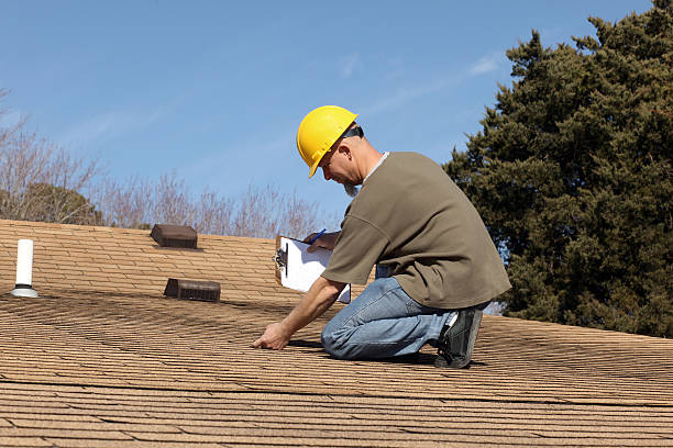 Best Roof Moss and Algae Removal  in Bruceville Eddy, TX